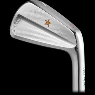 Vega SS Irons